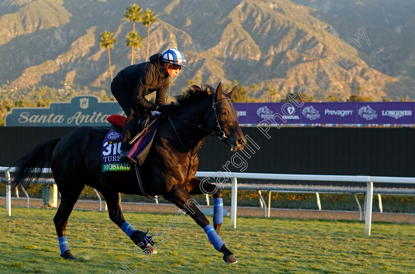 Mostahdaf-0005 
 MOSTAHDAF (Jim Crowley) training for the Breeders' Cup Turf
Santa Anita USA, 1 Nov 2023 - Pic Steven Cargill / Racingfotos.com