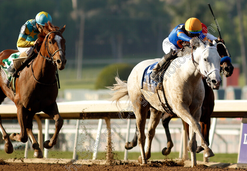 White-Abarrio-0007 
 WHITE ABARRIO (Irad Ortiz) wins The Breeders' Cup Classic
Santa Anita 4 Nov 2023 - pic Steven Cargill / Racingfotos.com