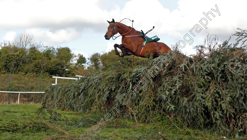 Minella-Times 
 MINELLA TIMES 
Aintree 9 Apr 2022 - Pic Steven Cargill / Racingfotos.com