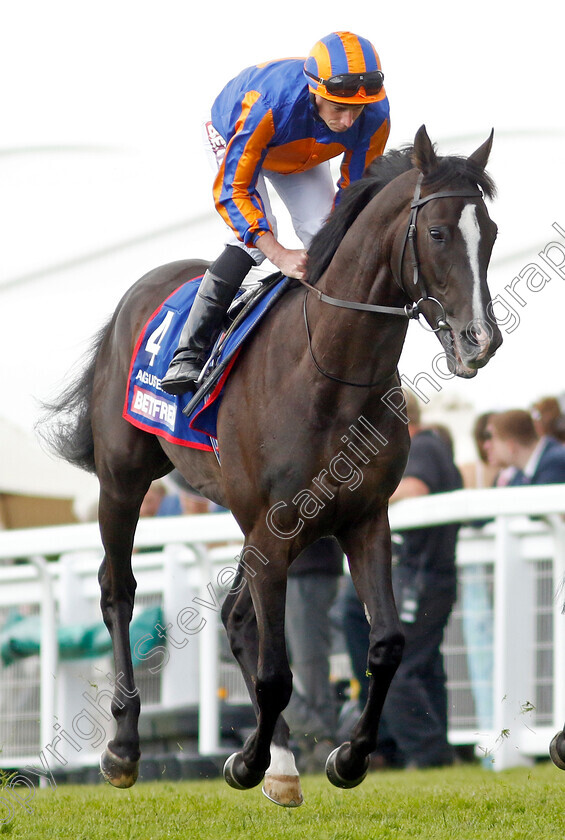 Auguste-Rodin-0020 
 AUGUSTE RODIN (Ryan Moore) winner of The Betfred Derby
Epsom 3 Jun 2023 - Pic Steven Cargill / Racingfotos.com