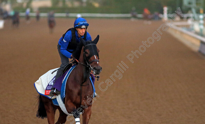 With-The-Moonlight-0002 
 WITH THE MOONLIGHT training for The Breeders' Cup Filly & Mare Turf
Santa Anita 2 Nov 2023 - Pic Steven Cargill / Racingfotos.com