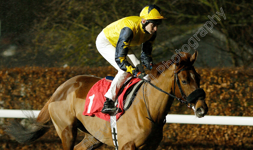 Aquarius-Miracle-0001 
 AQUARIUS MIRACLE (Robert Havlin)
Kempton 16 Jan 2019 - Pic Steven Cargill / Racingfotos.com