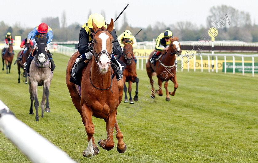 Raise-You-0003 
 RAISE YOU (Oisin Murphy) wins The Dubai Duty Free Tennis Championships Maiden Stakes Div2
Newbury 13 Apr 2019 - Pic Steven Cargill / Racingfotos.com