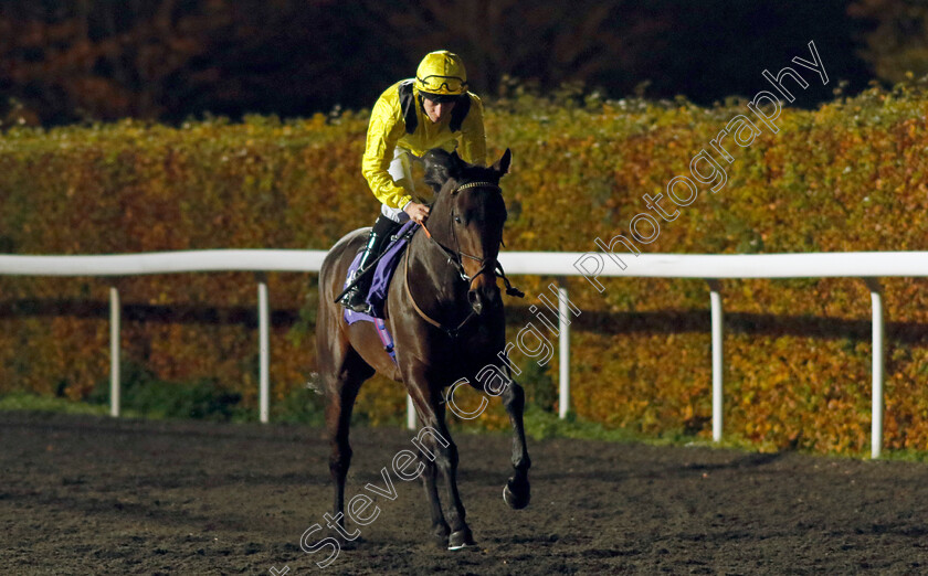 Sattwaa-0001 
 SATTWAA (Luke Morris)
Kempton 15 Nov 2023 - Pic Steven Cargill / Racingfotos.com