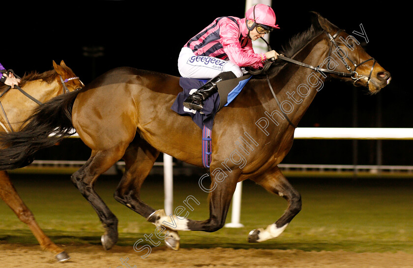 Swiss-Storm-0006 
 SWISS STORM (David Probert) wins The Betway Handicap
Wolverhampton 26 Feb 2019 - Pic Steven Cargill / Racingfotos.com