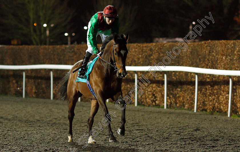 Spanish-Mission-0001 
 SPANISH MISSION (Jamie Spencer)
Kempton 6 Mar 2019 - Pic Steven Cargill / Racingfotos.com