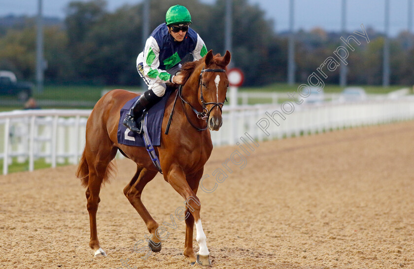 Bullet-0002 
 BULLET (Kevin Stott)
Southwell 4 Oct 2022 - Pic Steven Cargill / Racingfotos.com