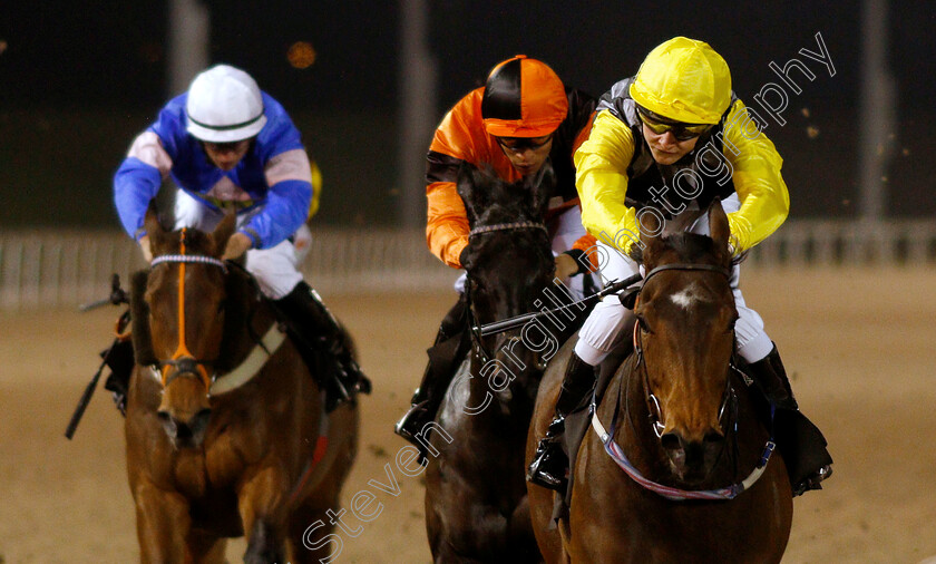 Always-A-Drama-0003 
 ALWAYS A DRAMA (Cieren Fallon) wins The Bet toteexacta At totesport.com Fillies Handicap
Chelmsford 21 Feb 2019 - Pic Steven Cargill / Racingfotos.com