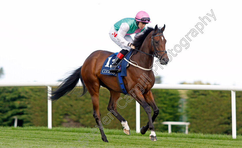 Zarinsk-0002 
 ZARINSK (Colin Keane)
Leopardstown 9 Sep 2023 - Pic Steven Cargill / Racingfotos.com