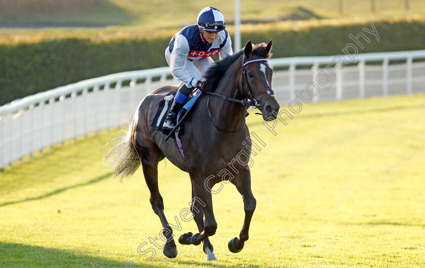 Dame-Ethel-Smyth-0001 
 DAME ETHEL SMYTH (Benoit de la Sayette)
Goodwood 26 Aug 2022 - Pic Steven Cargill / Racingfotos.com