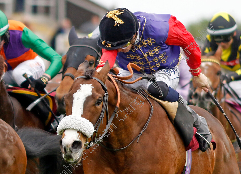 King s-Lynn-0011 
 KING'S LYNN (David Probert) wins The Cazoo Temple Stakes
Haydock 21 May 2022 - Pic Steven Cargill / Racingfotos.com