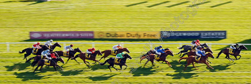 Brorocco-0003 
 BROROCCO (David Probert) wins The Dubai Duty Free Handicap Newbury 23 Sep 2017 - Pic Steven Cargill / Racingfotos.com