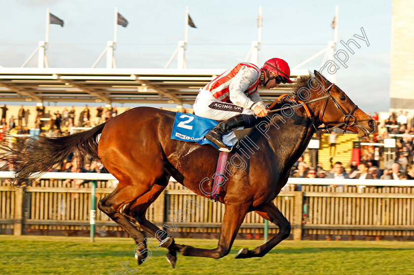 Chain-Of-Daisies-0006 
 CHAIN OF DAISIES (Harry Bentley) wins The Join Club Godolphin Pride Stakes Newmarket 13 Oct 2017 - Pic Steven Cargill / Racingfotos.com