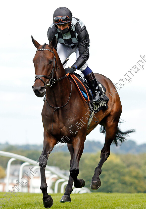 Lavender s-Blue-0001 
 LAVENDER'S BLUE (Jim Crowley)
Sandown 23 Aug 2020 - Pic Steven Cargill / Racingfotos.com