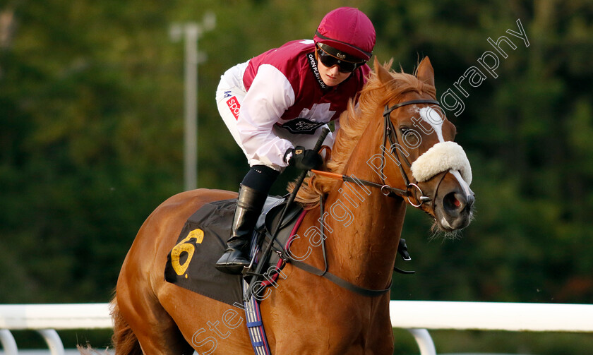 Blonde-Arrow-0001 
 BLONDE ARROW (Hollie Doyle)
Kempton 16 Jul 2024 - Pic Steven Cargill / Racingfotos.com