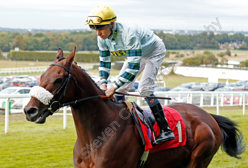 Simoon-0001 
 SIMOON (Kieran Shoemark)
Sandown 31 Aug 2019 - Pic Steven Cargill / Racingfotos.com