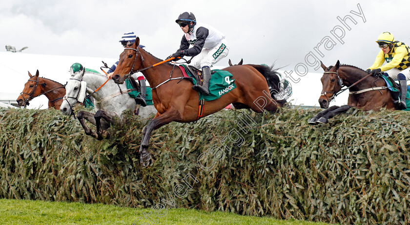 Gin-On-Lime-0002 
 GIN ON LIME (Darragh O'Keeffe)
Aintree 14 Apr 2023 - Pic Steven Cargill / Racingfotos.com