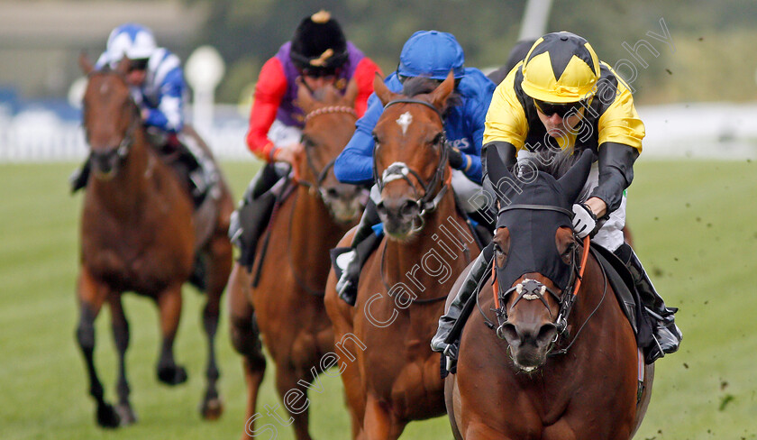 Bless-Him-0007 
 BLESS HIM (Jamie Spencer) wins The Lexicon Bracknell Handicap
Ascot 6 Sep 2019 - Pic Steven Cargill / Racingfotos.com