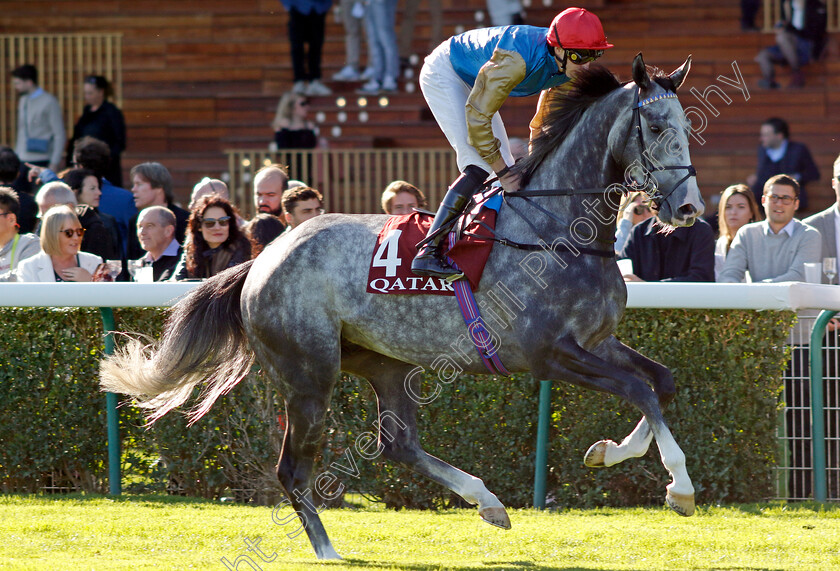 Make-Me-King-0001 
 MAKE ME KING (James Doyle)
Longchamp 5 Oct 2024 - Pic Steven Cargill / Racingfotos.com