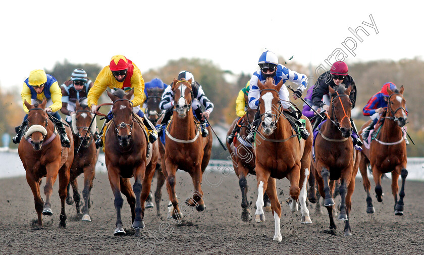 Party-Island-0005 
 PARTY ISLAND (right, George Bass) beats MINI MILK (left) in The Try Our New Price Boosts At Unibet Handicap
Kempton 2 Nov 2020 - Pic Steven Cargill / Racingfotos.com