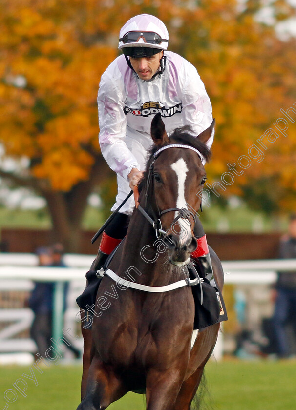 Royal-Deeside-0001 
 ROYAL DEESIDE (Martin Harley)
Newmarket 19 Oct 2022 - Pic Steven Cargill / Racingfotos.com