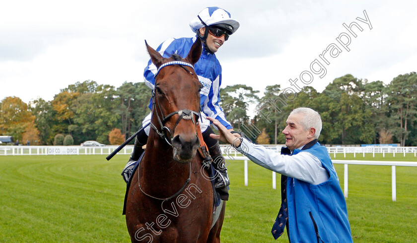 Donjuan-Triumphant-0009 
 DONJUAN TRIUMPHANT (Silvestre De Sousa) after The Qipco British Champions Sprint Stakes
Ascot 19 Act 2019 - Pic Steven Cargill / Racingfotos.com