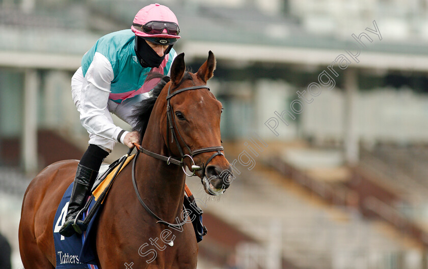 Noon-Star-0002 
 NOON STAR (Richard Kingscote)
York 12 May 2021 - Pic Steven Cargill / Racingfotos.com