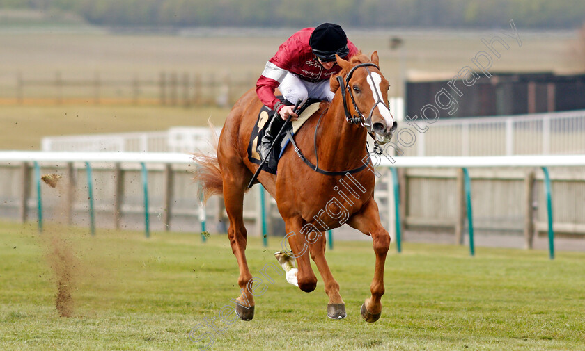 Dig-Two-0004 
 DIG TWO (James Doyle) wins The Betfair British EBF Maiden Stakes
Newmarket 2 May 2021 - Pic Steven Cargill / Racingfotos.com