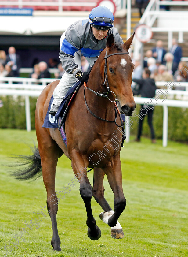 Derrymore-Boy 
 DERRYMORE BOY (Laura Pearson)
Chester 4 May 2022 - Pic Steven Cargill / Racingfotos.com