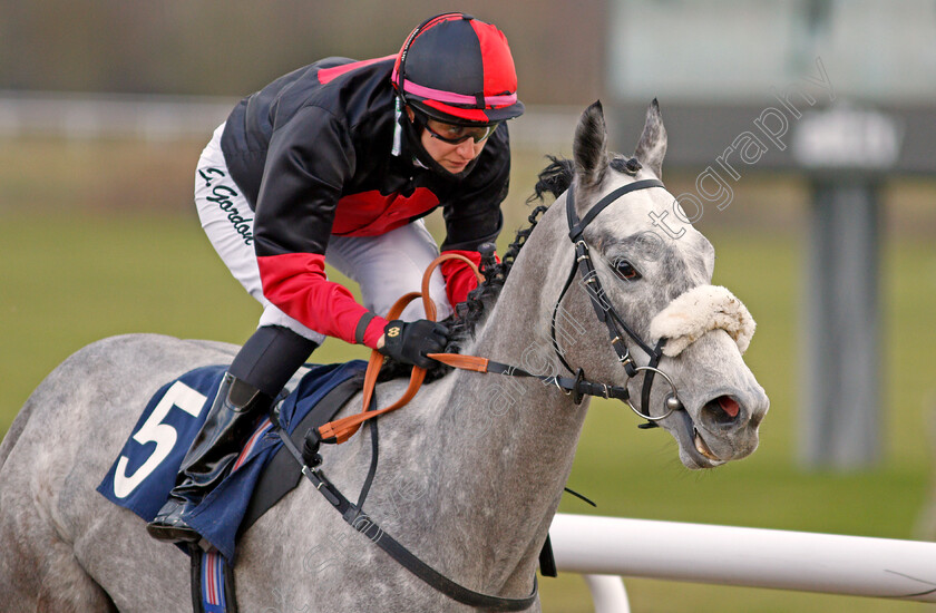 Lorna-Cole-0005 
 LORNA COLE (Josephine Gordon) wins The Betway Claiming Stakes
Wolverhampton 13 Mar 2021 - Pic Steven Cargill / Racingfotos.com