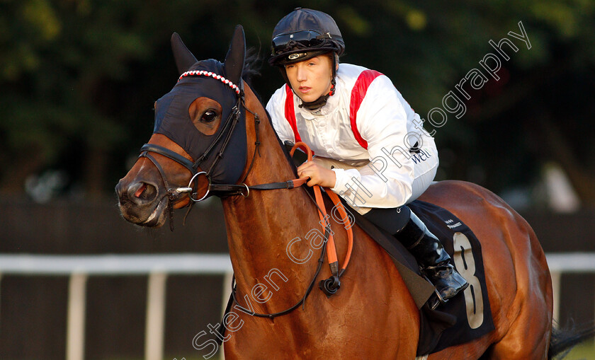 Squelch-0002 
 SQUELCH (Georgia Cox)
Newmarket 28 Jun 2019 - Pic Steven Cargill / Racingfotos.com