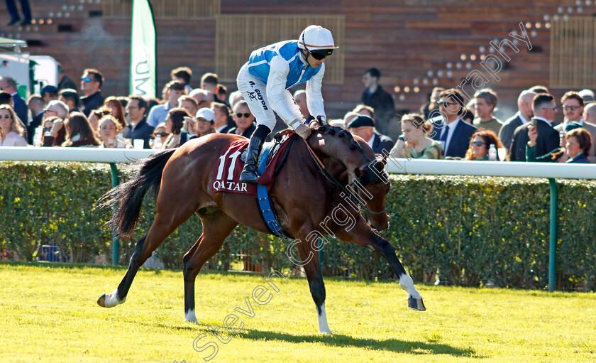 Babakool-0001 
 BABAKOOL (Maxime Guyon)
Longchamp 5 Oct 2034 - Pic Steven Cargill / Racingfotos.com