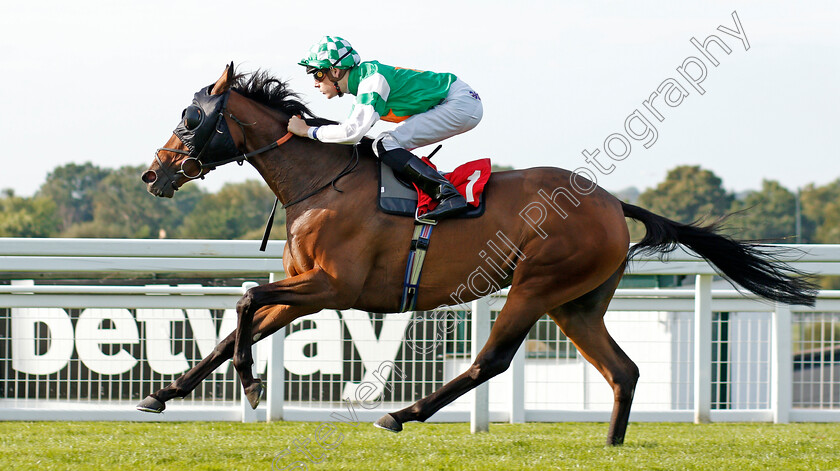 Geetanjali-0005 
 GEETANJALI (Cameron Noble) wins The Betway Heed Your Hunch Fillies Handicap
Sandown 30 Aug 2019 - Pic Steven Cargill / Racingfotos.com