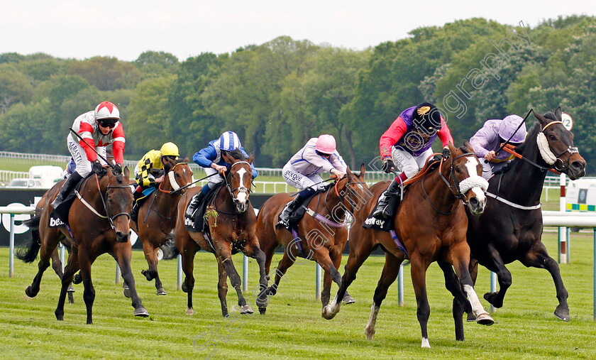 King s-Lynn-0003 
 KING'S LYNN (2nd right, Oisin Murphy) beats MOSS GILL (right) in The Betway Achilles Stakes
Haydock 29 May 2021 - Pic Steven Cargill / Racingfotos.com