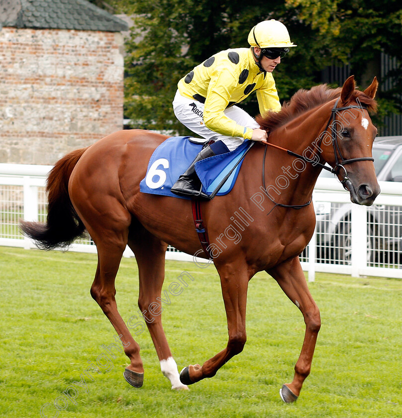 Melodies-0001 
 MELODIES (Jim Crowley) Salisbury 7 Sep 2017 - Pic Steven Cargill / Racingfotos.com