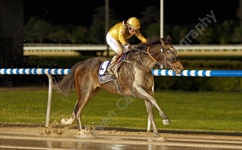 Western-Synphony-0003 
 WESTERN SYMPHONY (Tadhg O'Shea) wins The Longines Record Collection Handicap
Meydan 27 Jan 2023 - Pic Steven Cargill / Racingfotos.com