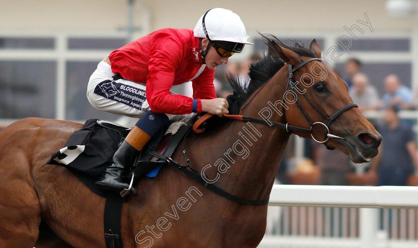 Pilaster-0005 
 PILASTER (David Egan) wins The Bet In Play At totesport.com British EBF Confined Fillies Novice Stakes
Chelmsford 31 May 2018 - Pic Steven Cargill / Racingfotos.com