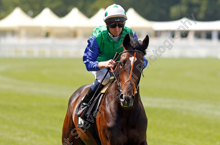 Trail-Hawk-0001 
 TRAIL HAWK (Martin Dwyer)
Ascot 23 Jul 2021 - Pic Steven Cargill / Racingfotos.com