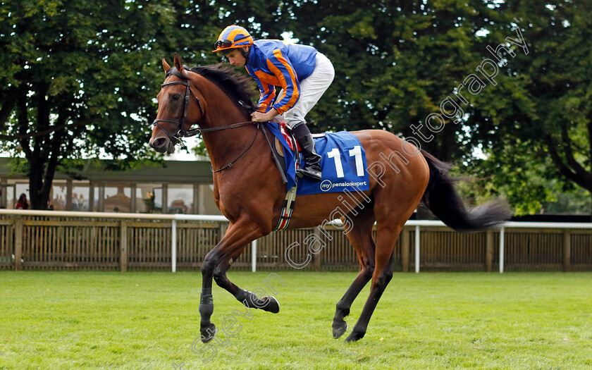 River-Tiber-0002 
 RIVER TIBER (Ryan Moore)
Newmarket 13 Jul 2024 - Pic Steven Cargill / Racingfotos.com