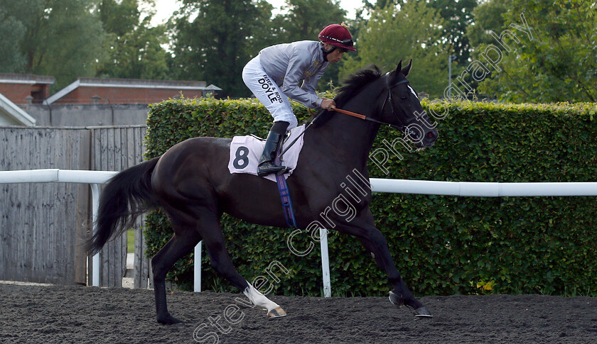 Nahham-0001 
 NAHHAM (Sean Levey)
Kempton 22 May 2019 - Pic Steven Cargill / Racingfotos.com