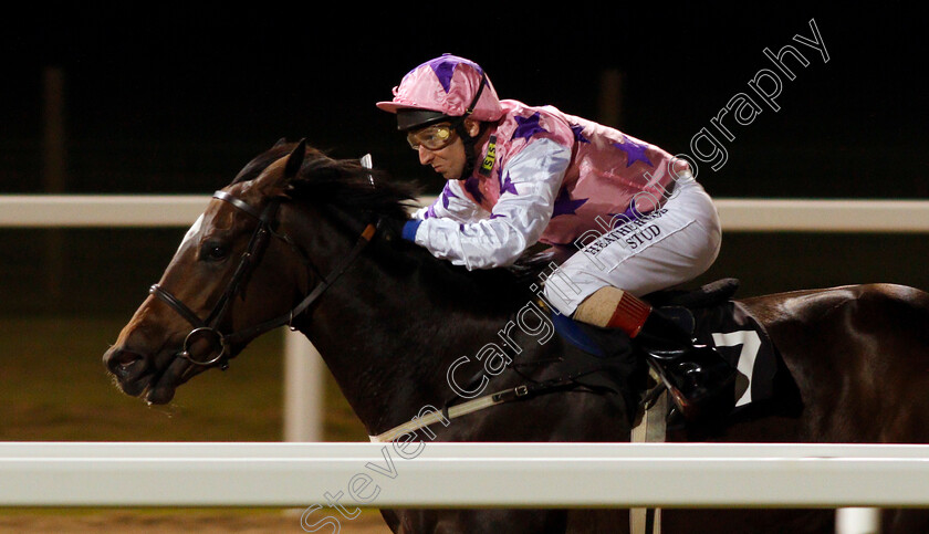 Miss-M-0004 
 MISS M (Martin Dwyer) wins The Bet totewin at Betfred.com Handicap Div1 Chelmsford 12 Oct 2017 - Pic Steven Cargill / Racingfotos.com