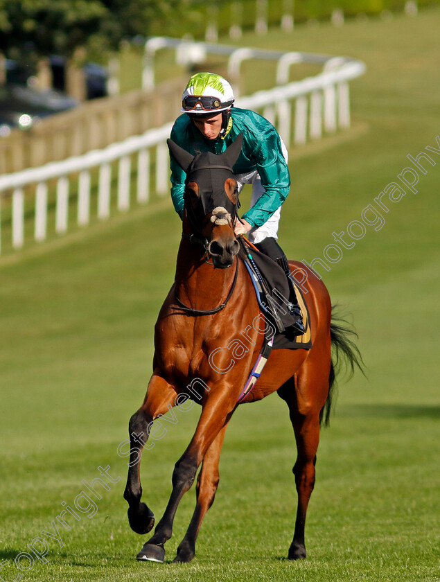 Skibo-0001 
 SKIBO (Rossa Ryan)
Newmarket 9 Aug 2024 - Pic Steven Cargill / Racingfotos.com