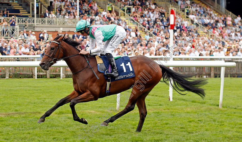 Tabiti-0001 
 TABITI (Rossa Ryan) wins The Tattersalls Online EBF Newcomers Maiden Fillies Stakes
Newmarket 10 Aug 2024 - Pic Steven Cargill / Racingfotos.com