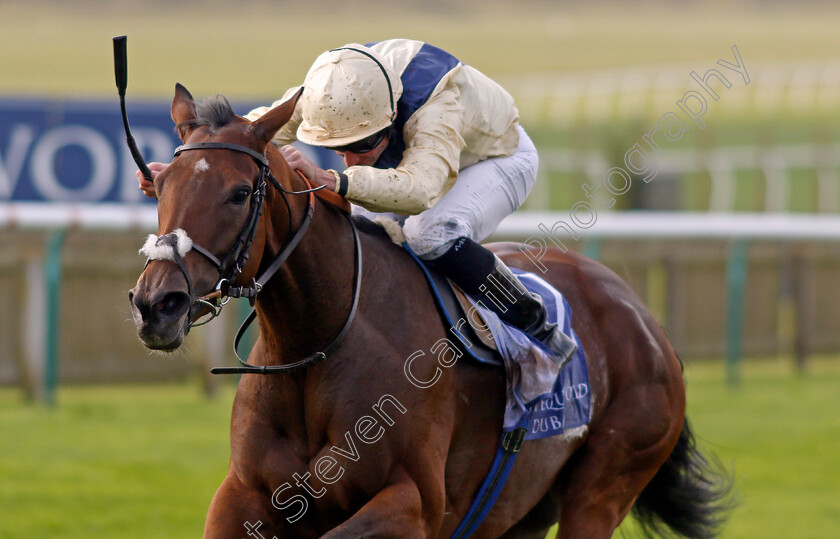 Sirona-0001 
 SIRONA (Ryan Moore) wins The Al Basti Equiworld Dubai British EBF Rosemary Stakes
Newmarket 27 Sep 2024 - Pic Steven Cargill / Racingfotos.com