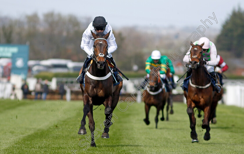 Constitution-Hill-0005 
 CONSTITUTION HILL (Nico de Boinville) wins The William Hill Aintree Hurdle
Aintree 13 Apr 2023 - Pic Steven Cargill / Racingfotos.com