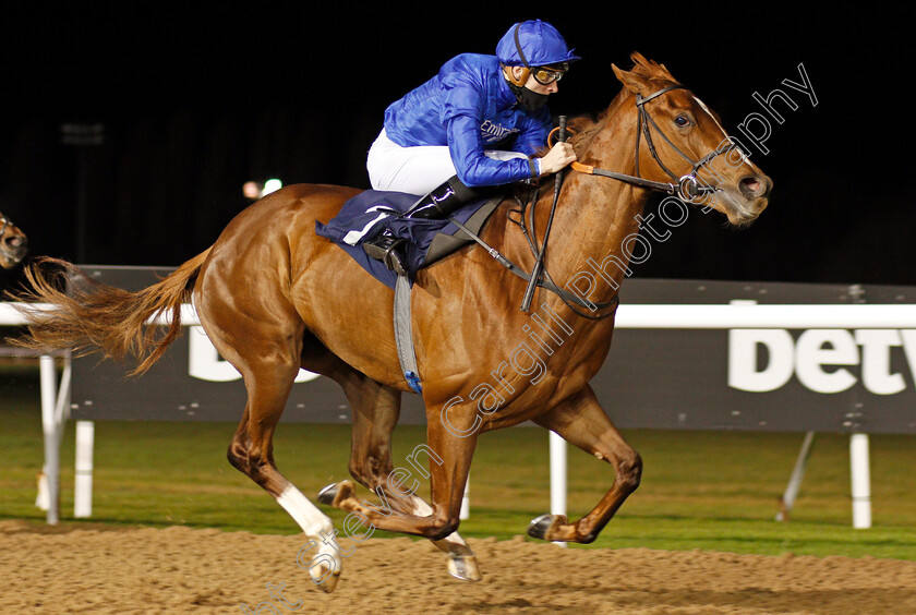 Silent-Escape-0005 
 SILENT ESCAPE (Hector Crouch) wins The Bombardier British Hopped Amber Beer Novice Stakes
Wolverhampton 24 Nov 2020 - Pic Steven Cargill / Racingfotos.com