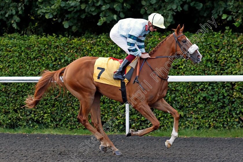 City-Streak-0001 
 CITY STREAK (Rob Hornby)
Kempton 3 Sep 2021 - Pic Steven Cargill / Racingfotos.com