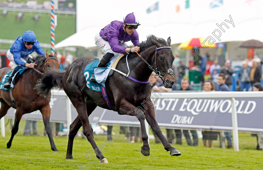 Cuban-Thunder-0006 
 CUBAN THUNDER (Kevin Stott) wins The Frank Whittle Partnership ebfstallions.com Maiden Stakes
York 18 May 2023 - Pic Steven Cargill / Racingfotos.com