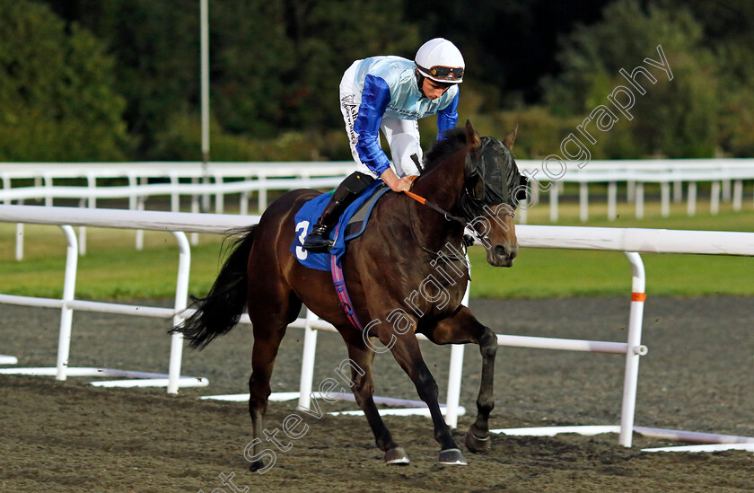 New-Chelsea-0001 
 NEW CHELSEA (Rossa Ryan)
Kempton 28 Aug 2024 - Pic Steven Cargill / Racingfotos.com