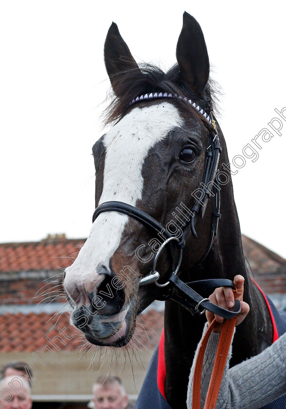 The-Glancing-Queen-0009 
 THE GLANCING QUEEN after The Actioncoach Invest In The Best Lady Godiva Mares Novices Chase
Warwick 9 Dec 2021 - Pic Steven Cargill / Racingfotos.com